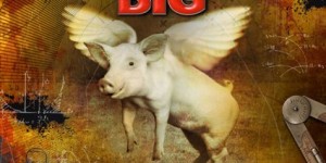 mrbigcd
