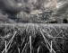★ BLESS THE OGGS – It All Starts With A Seed ★
